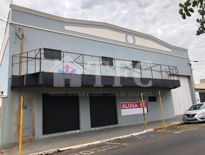 Comercial para Locao, em Araatuba, bairro Higienpolis