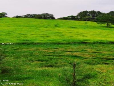 Terreno para Venda, em Aruj, bairro Chcara Bananal