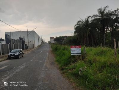 Comercial para Venda, em Bom Despacho, bairro So Jos