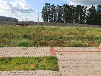 Terreno para Venda, em Cascavel, bairro Vista Linda