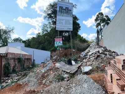 Terreno para Venda, em So Jos da Lapa, bairro BELO VALE