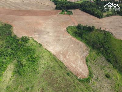 Stio para Venda, em Santana do Itarar, bairro Monjoleiro, 3 dormitrios, 1 banheiro, 1 vaga