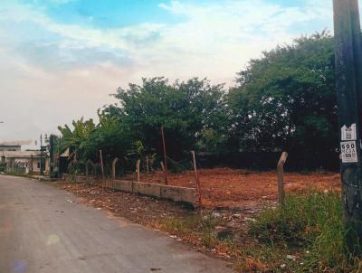 Lote para Venda, em Manaus, bairro Tarum-Au
