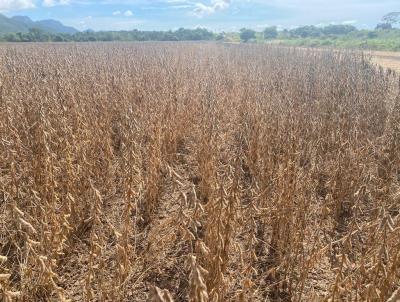 Fazenda para Venda, em Jangada, bairro Zona rural