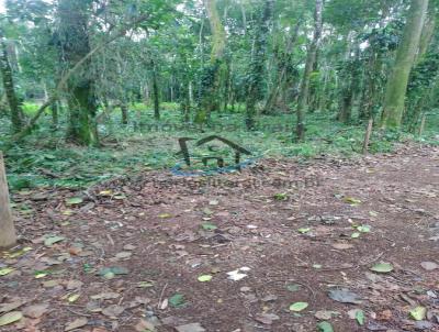 Terreno para Venda, em Ubatuba, bairro Serto da Quina