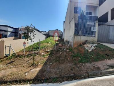 Terreno para Venda, em Araucria, bairro Passana