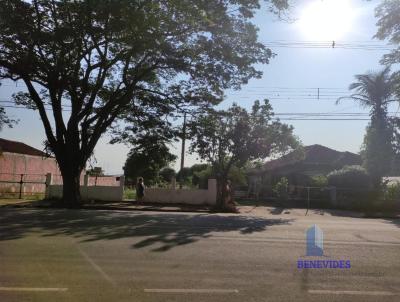 Terreno Urbano para Venda, em Nova Esperana, bairro CENTRO