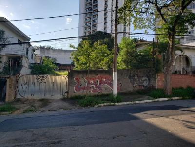 Terreno para Venda, em So Paulo, bairro Vila Monumento