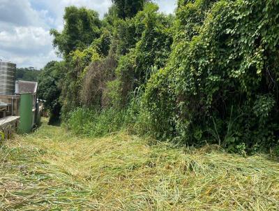 rea para Venda, em Louveira, bairro Vila Pasti