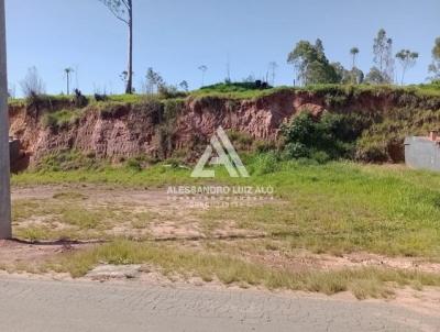 Terreno Comercial para Venda, em Piedade, bairro Poo