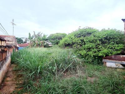 Terreno para Venda, em Barretos, bairro Centro