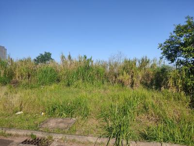 Terreno para Venda, em Lajeado, bairro Conventos
