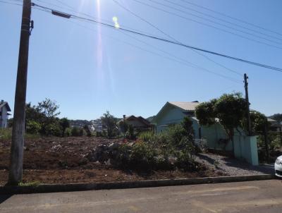 Terreno para Venda, em Antônio Prado, bairro Loteamento Centenário