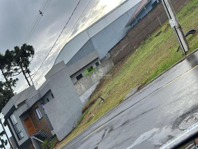 Terreno para Venda, em Ponta Grossa, bairro Car-car