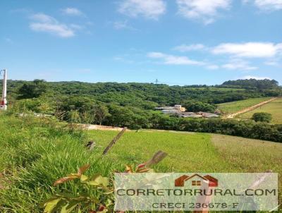 Terreno para Venda, em Ibina, bairro Areia vermelha