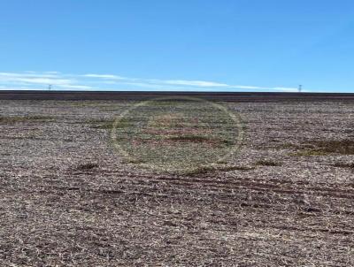 Stio para Venda, em Cascavel, bairro .