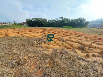 Terreno para Venda, em Indaial, bairro Warnow