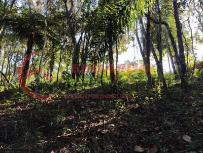 Terreno em Condomnio para Venda, em Mairipor, bairro Jardim Lago Da Cantareira