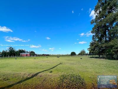 Terreno para Venda, em Uruguaiana, bairro Aeroporto