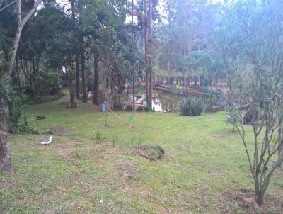 Stio / Chcara para Venda, em Ribeiro Pires, bairro Quarta Diviso, 4 dormitrios, 3 banheiros, 1 sute