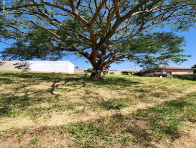 Terreno para Venda, em Santa Rita do Passa Quatro, bairro Jardim Planalto