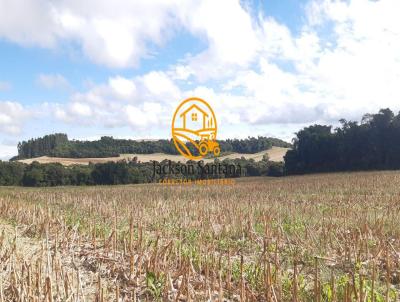 Terreno Rural para Venda, em Antnio Olinto, bairro RURAL