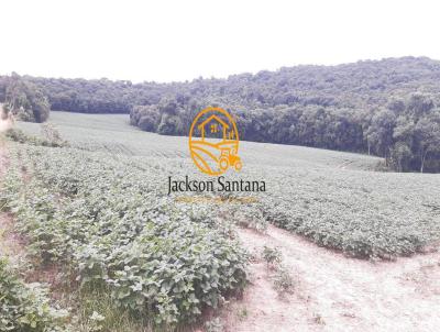 Terreno Rural para Venda, em Antnio Olinto, bairro Cerro Lindo