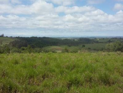 Terreno para Venda, em Araoiaba da Serra, bairro Aparecidinha