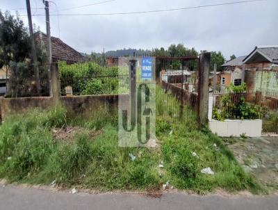 Terreno para Venda, em Viamo, bairro Monte Alegre