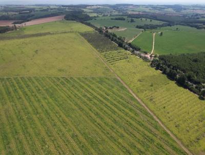 Fazenda para Venda, em Santa Rosa de Viterbo, bairro Zona Rural