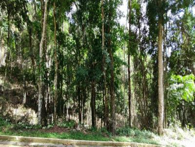 Lote para Venda, em Terespolis, bairro Albuquerque