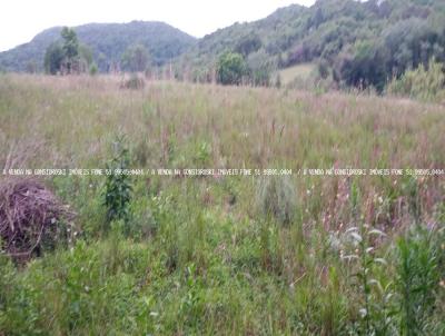 rea Rural para Venda, em Mariana Pimentel, bairro Linha Vasques