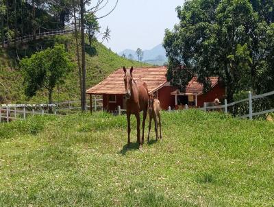 Stio para Venda, em So Jos dos Campos, bairro rea Rural de So Jos dos Campos, 5 dormitrios, 4 banheiros, 1 sute