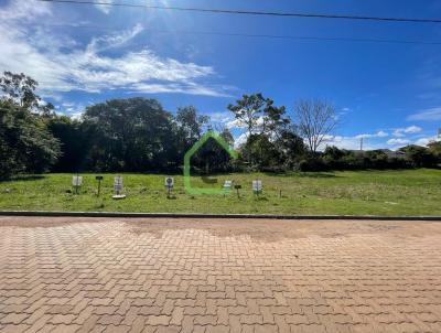 Terreno para Venda, em Santa Cruz do Sul, bairro Linha Santa Cruz