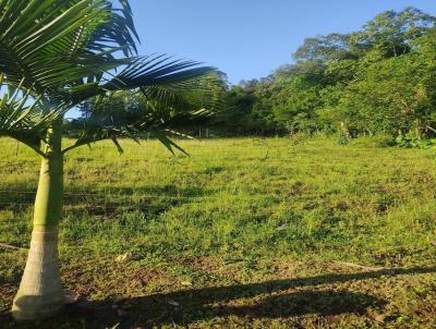 Terreno para Venda, em Travesseiro, bairro Centro