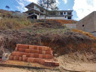 Lote para Venda, em Carangola, bairro Coroado