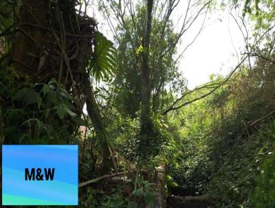 Terreno para Venda, em Ribeiro Pires, bairro Sussa