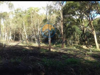 Terreno para Venda, em So Loureno da Serra, bairro Bairro dos pratas