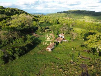 rea Rural para Venda, em Alecrim, bairro Linha So Pedro