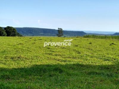 Fazenda para Venda, em Dois Crregos, bairro Centro