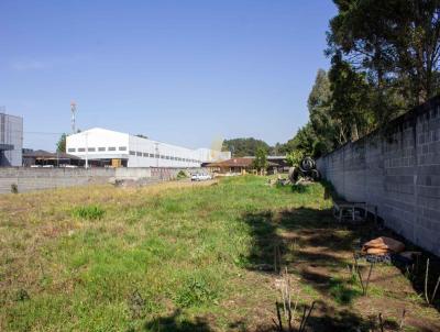 Terreno para Venda, em So Jos dos Pinhais, bairro Borda do Campo