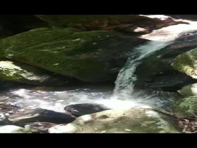 Stio / Chcara para Venda, em Riozinho, bairro Alpes