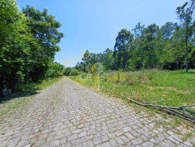 Terreno para Venda, em Garibaldi, bairro Garibaldina