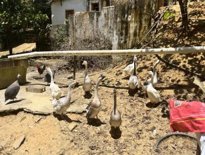 Chcara para Venda, em Juquitiba, bairro Centro