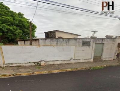 Terreno para Venda, em Lins, bairro Centro