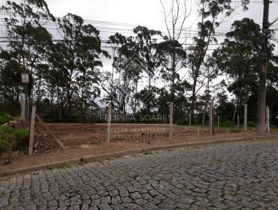 Terreno para Venda, em Ribeiro Pires, bairro Tanque Caio