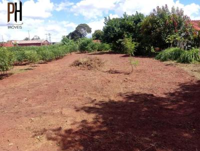 Terreno para Venda, em Guaiara, bairro Vila Sade