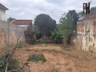 Terreno para Venda, em Lins, bairro Centro