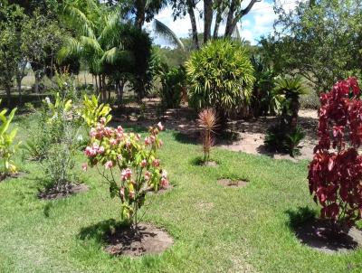 Stio para Venda, em Cachoeira, bairro MURUTUBA, 4 dormitrios, 4 banheiros, 2 sutes, 4 vagas