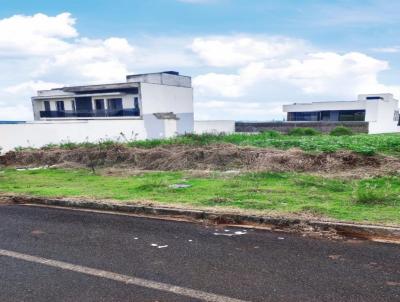 Terreno para Venda, em Pato Branco, bairro So Luiz